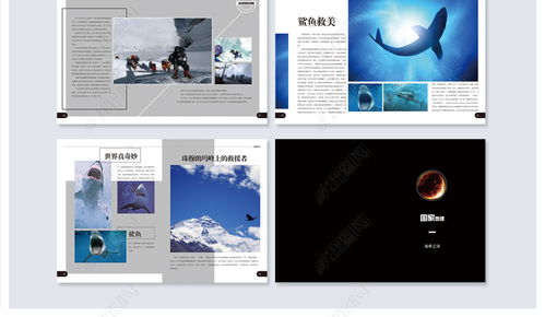《圖文天下》畢業(yè)設(shè)計 國家地理主題旅游畫冊矢量模板全解析